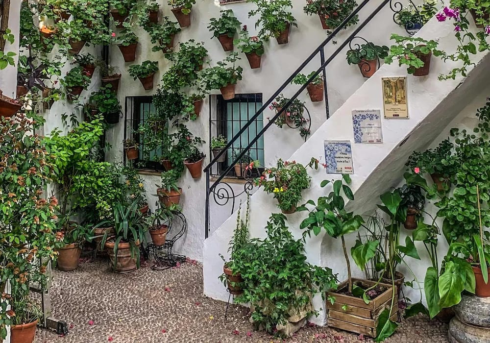 Patios of Córdoba Traditional Córdoba patio with white walls and flower pots